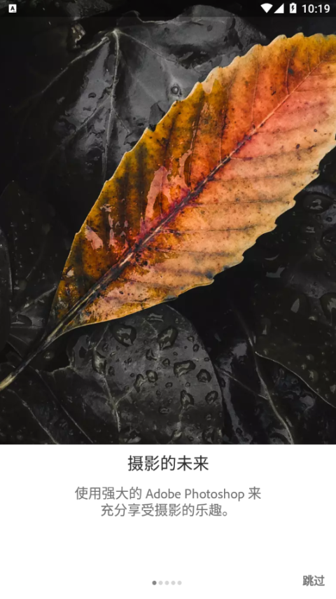 lightroom官方正版截圖1