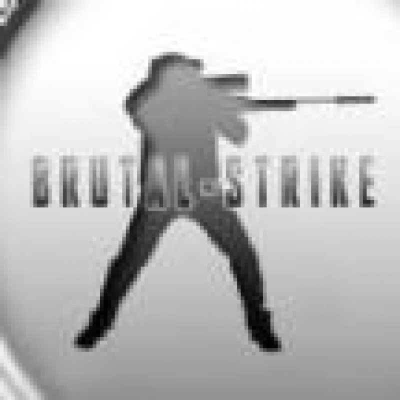 野蠻打擊直裝版國際服內(nèi)置菜單下載(BrutalStrike  