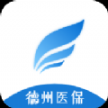 山東德州醫(yī)療保障局官方app安卓版（德州醫(yī)保） v2.9.3.3 